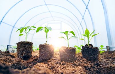 Green Roof Installations